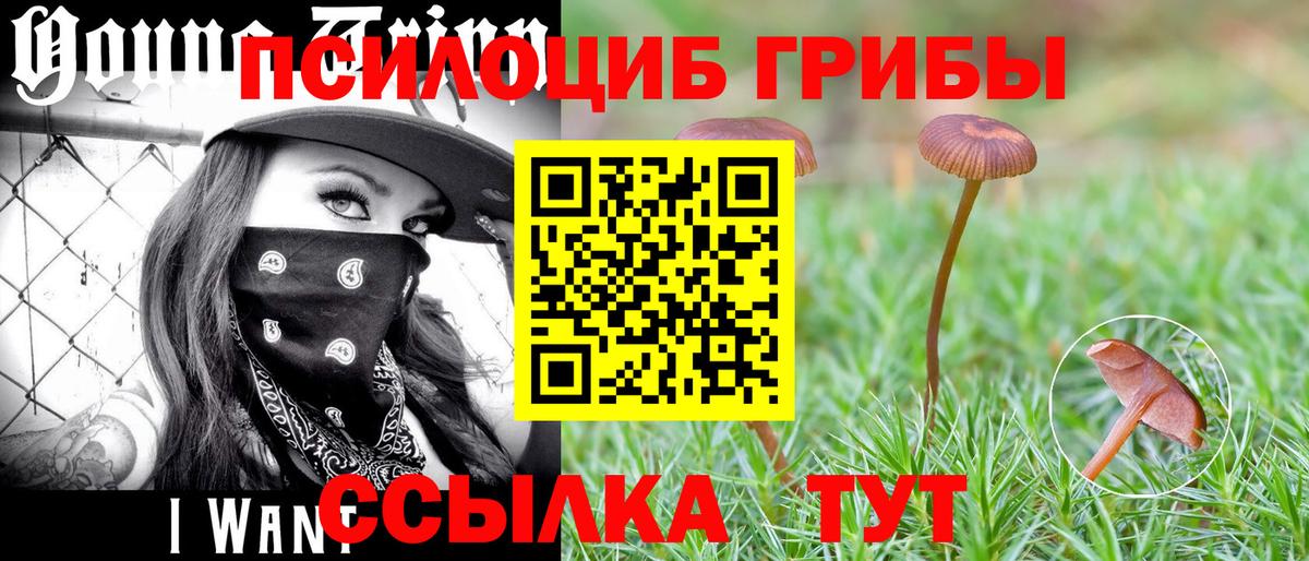 Белорецк  Псилоцибиновые грибы Psilocybine cubensis  Псилоцибиновые грибы прущие грибы  Вход с VPN 